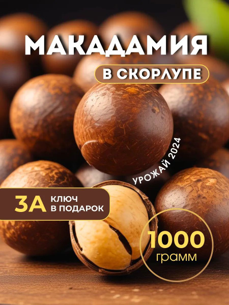 Макадамия орех в скорлупе с ключом 1кг купить на OZON по низкой цене ...