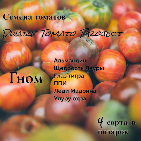 Купить Семена Томата Гном На Авито