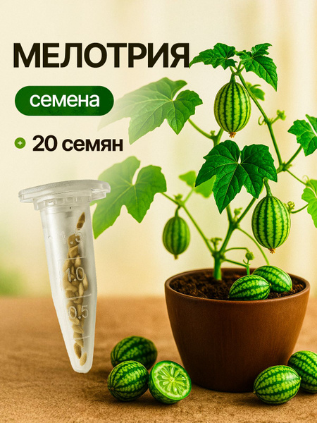Мелотрия Про Растения Семена_перцы_Каролина Рипер Шоколадный; Скорпион ...