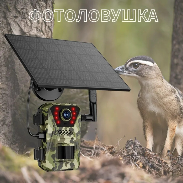 Фотоловушка - купить с доставкой по выгодным ценам в интернет-магазине ...