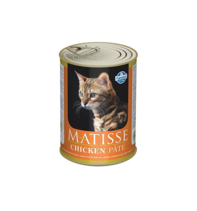 Matisse консервы для кошек. Фармина консервы для кошек. Farmina (Фармина) консервы Matisse для кошек мусс 300 гр. Корм Matisse для кошек лосось. Farmina влажный корм для кошек