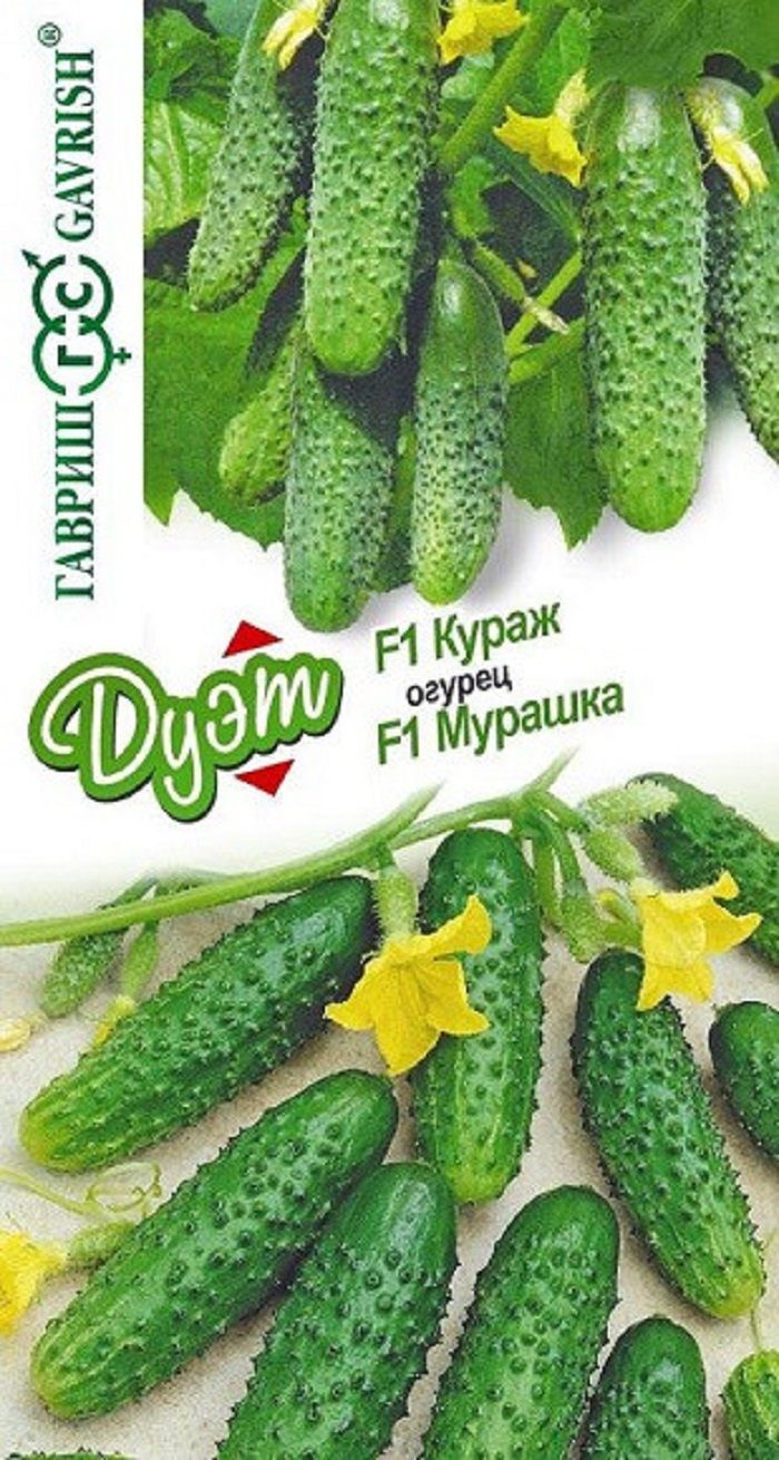Купить Семена Огурца Кураж Оптом