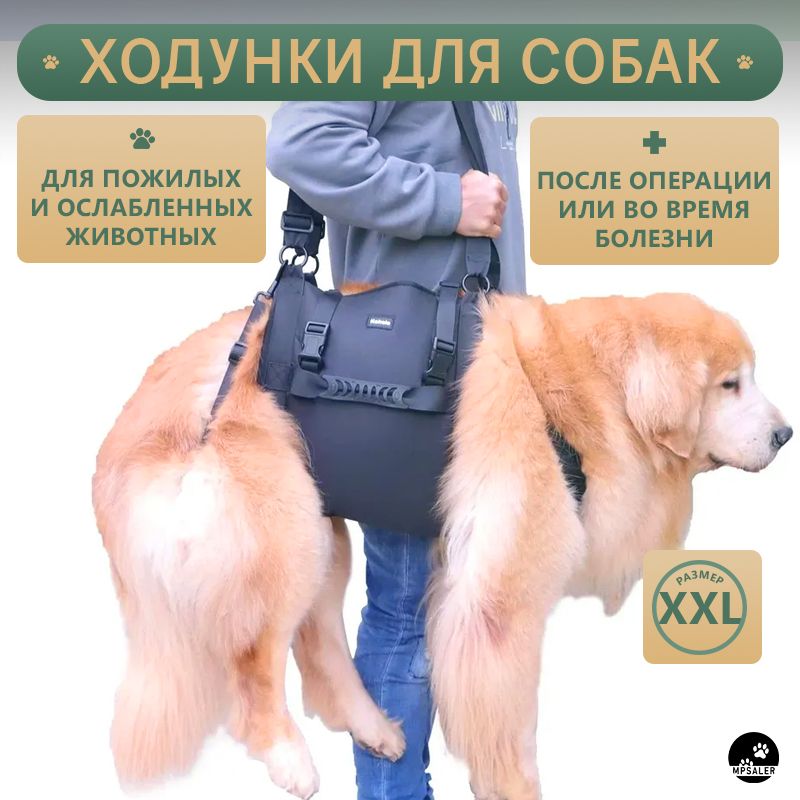 Ходунки для собак