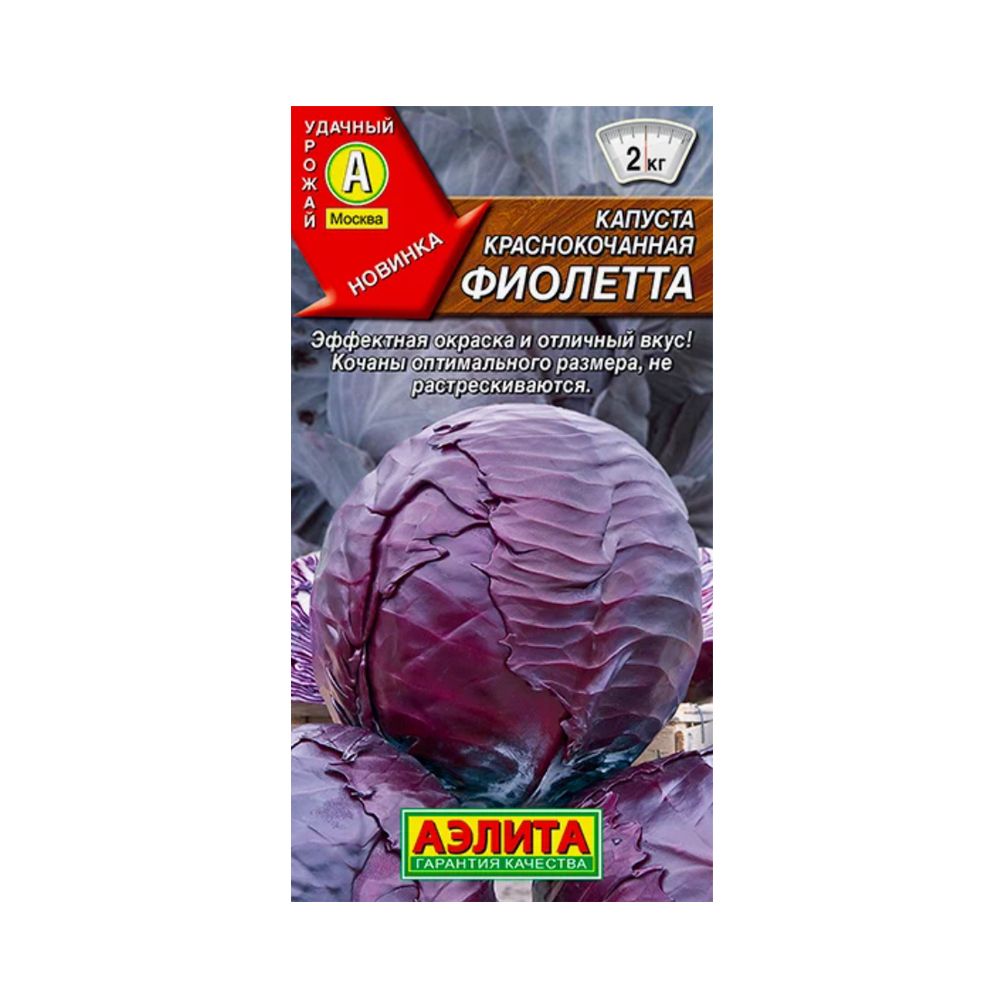 Краснокочанная Капуста Семена Купить