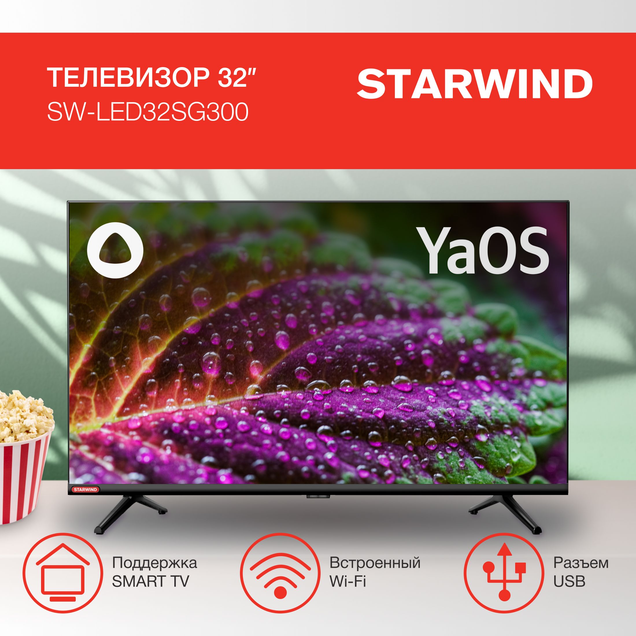 STARWINDТелевизорSW-LED32SG300Frameless32"HD,черный