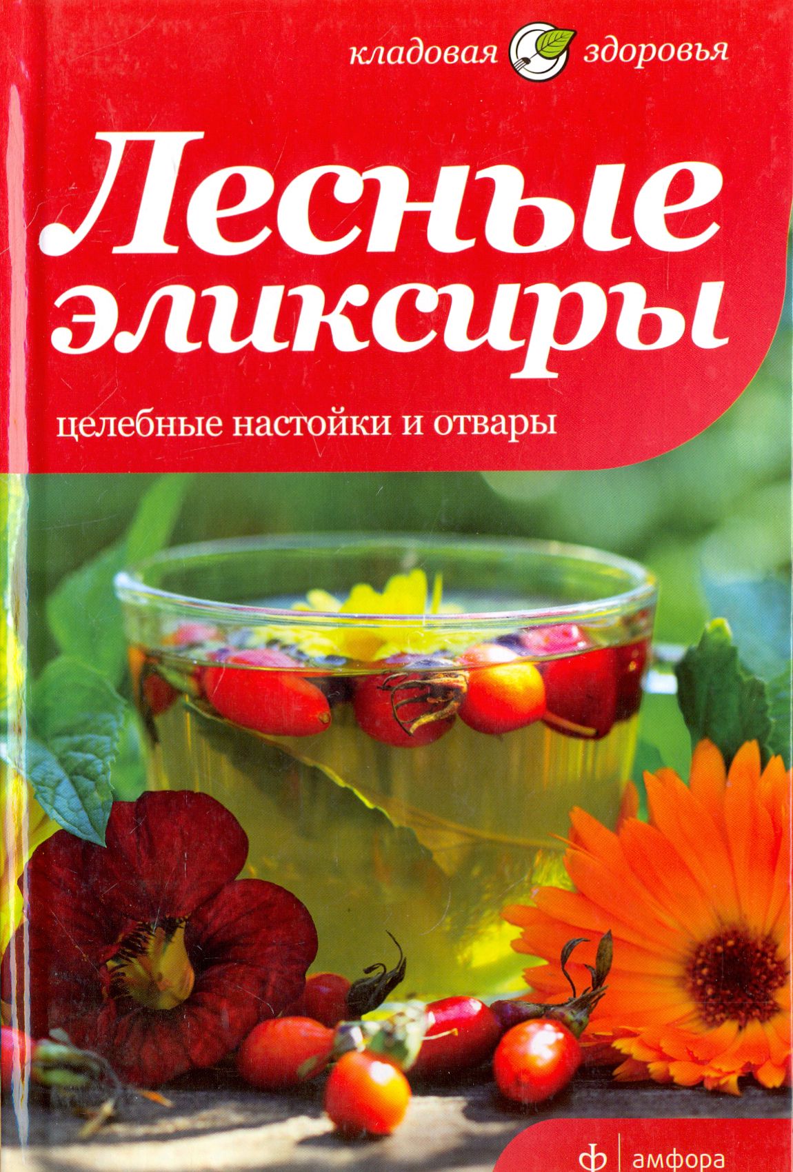 Лесные эликсиры. Целебные настойки и отвары | Соловьева Вера Андреевна