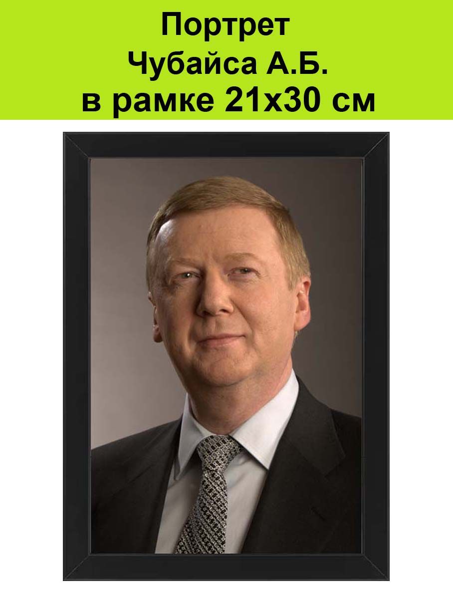 Портрет Анатолий Чубайс в рамке 21х30 см / Ваучер Приватизация МММ СССР -  купить по низкой цене в интернет-магазине OZON (1419333221)