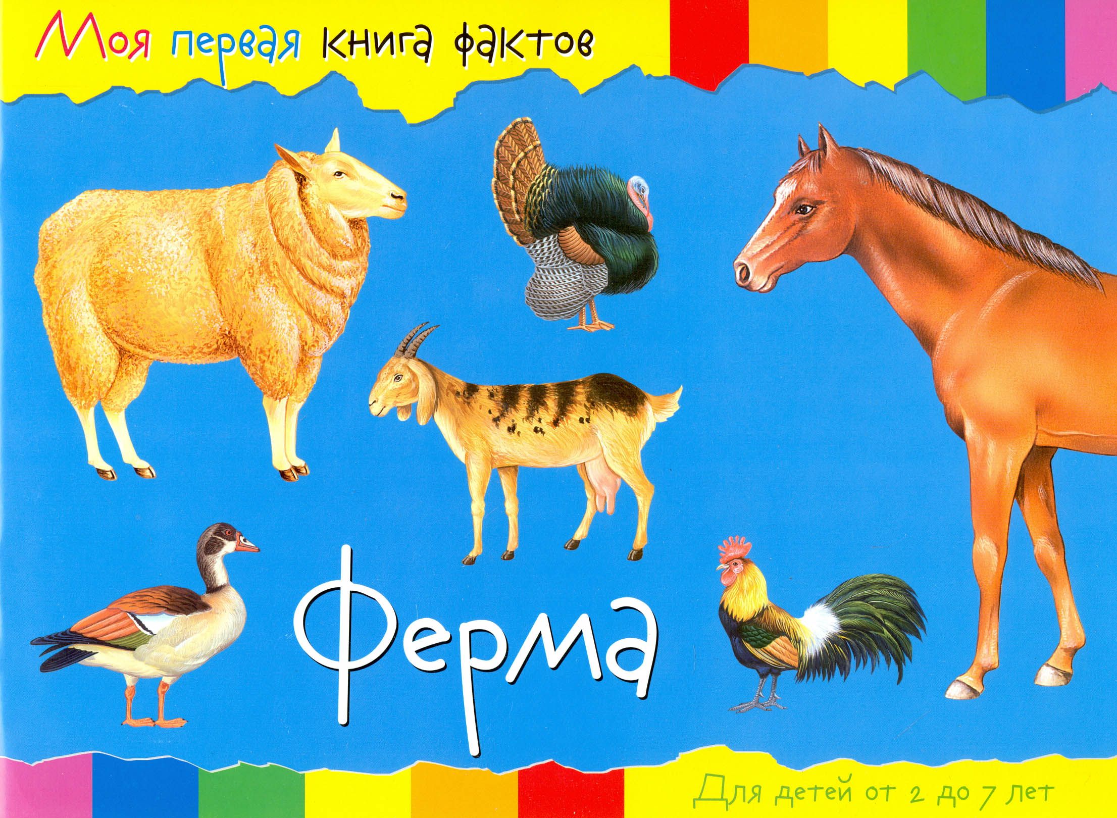 Ферма