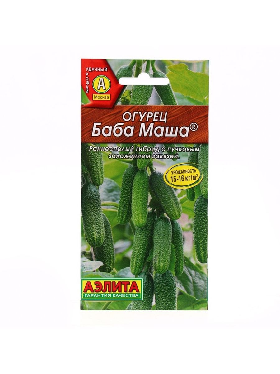Сорт огурцов маша описание и фото BigMarket бигСЛ_7643560 5 - купить по выгодным ценам в интернет-магазине OZON (1