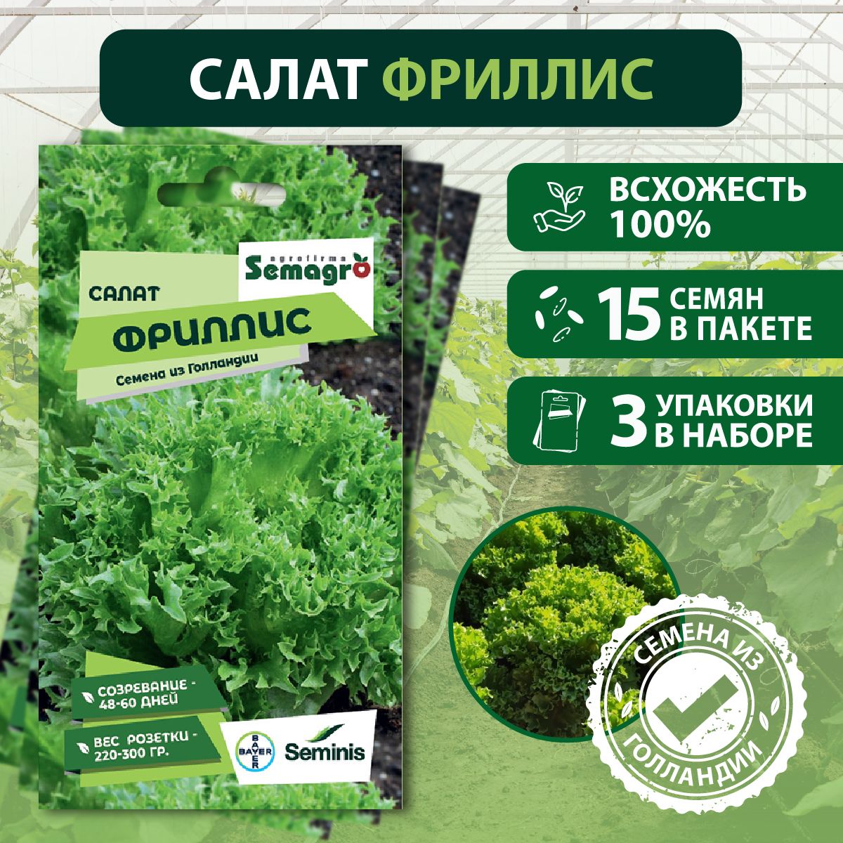 Салат Seminis зелень_Семена Салат Фриллис , 3 пакета - купить по выгодным  ценам в интернет-магазине OZON (1361428247)