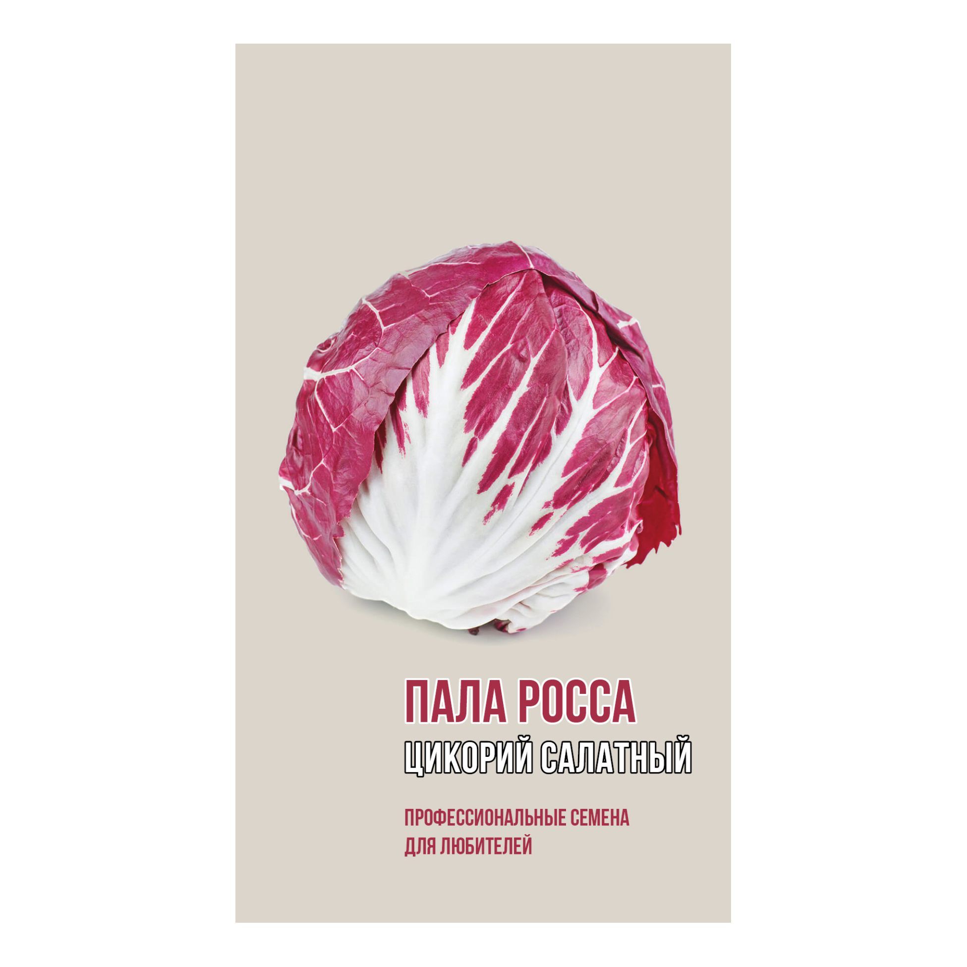 Салат цикорный отзывы. Салат цикорный Палла Росса. Салат цикорный семена. Салат цикорий кочанный. Семена салат цикорий кочанный.