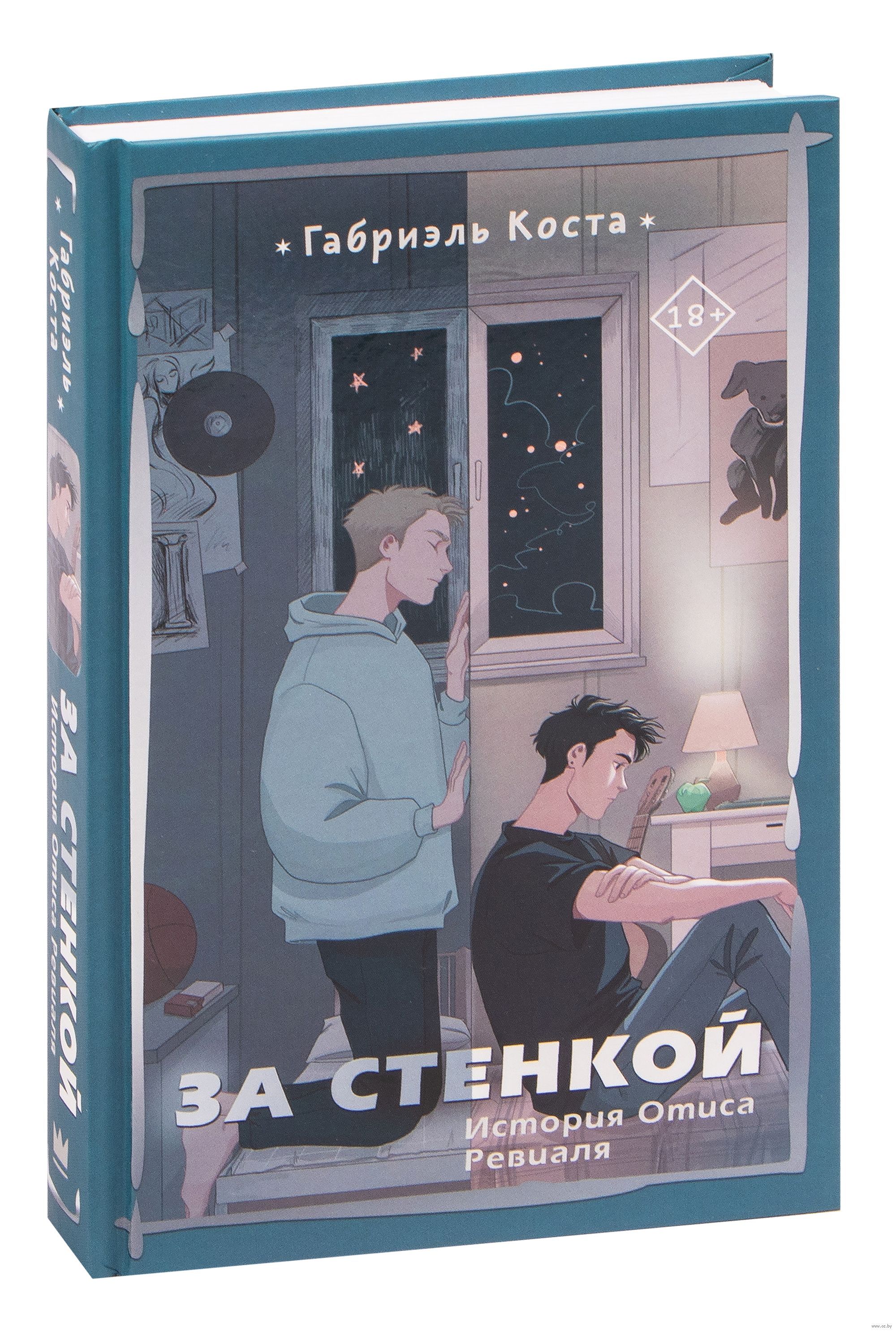 За стенкой книга полностью