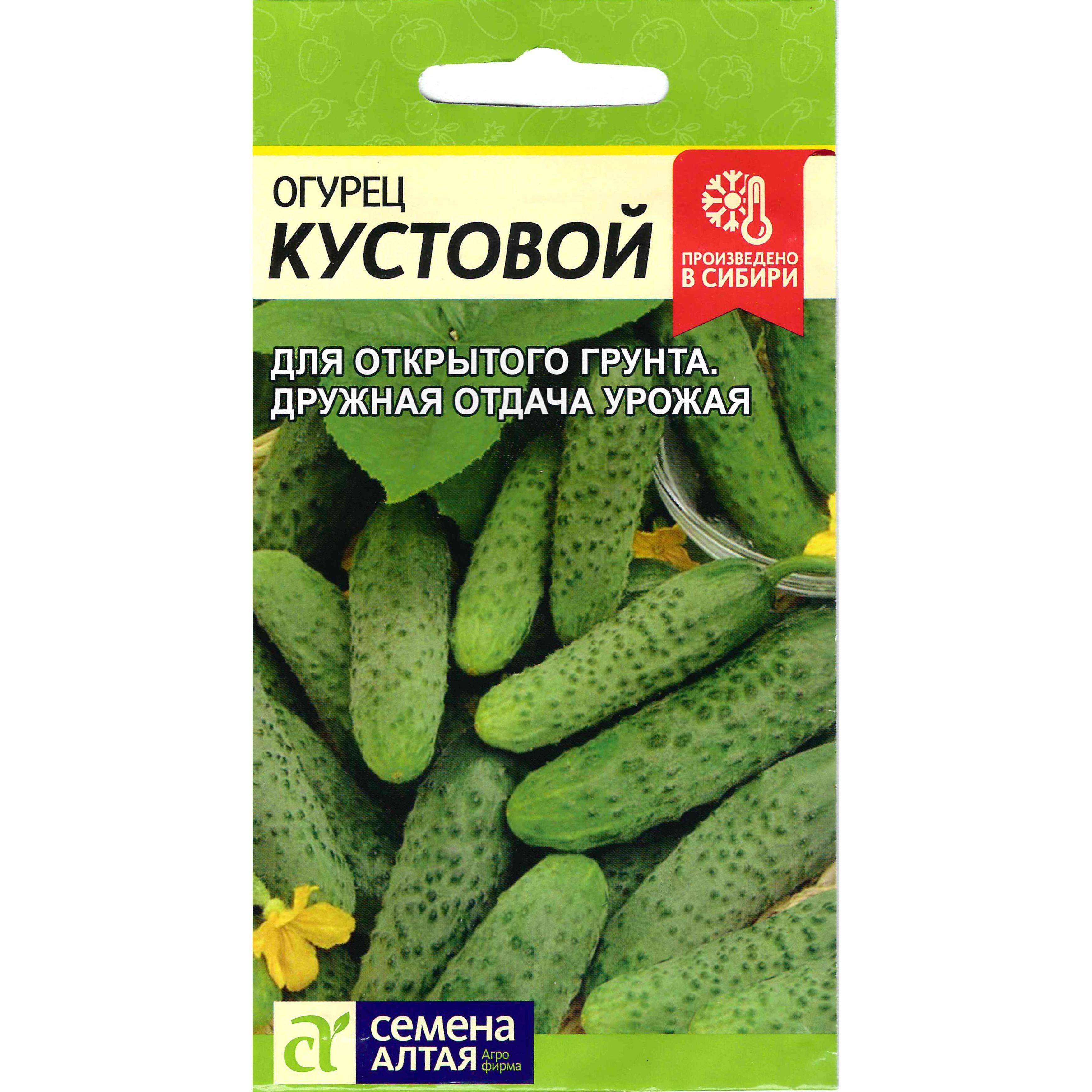 Купить Семена Огурцов Кустовой