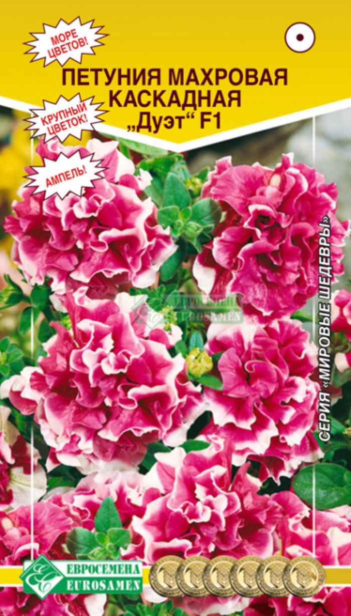 Петуния каскадная махровая синий водопад. Петунья махровая каскадная. Петуния каскадная махровая. Петуния дабл каскад f1 бургунди (махровая). Петуния махровая многоцветковая дуо смесь окрасок.