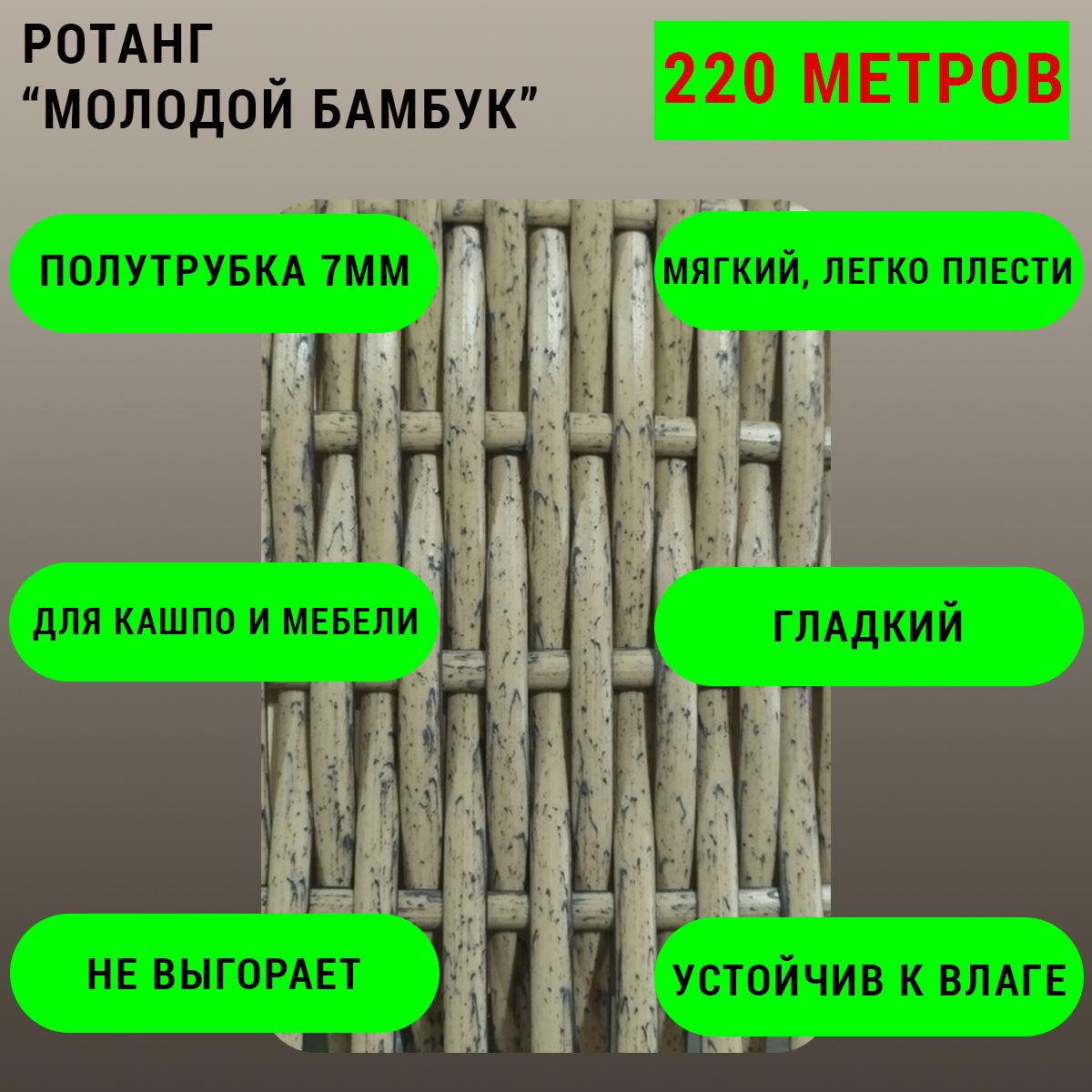 Молодой бамбук
