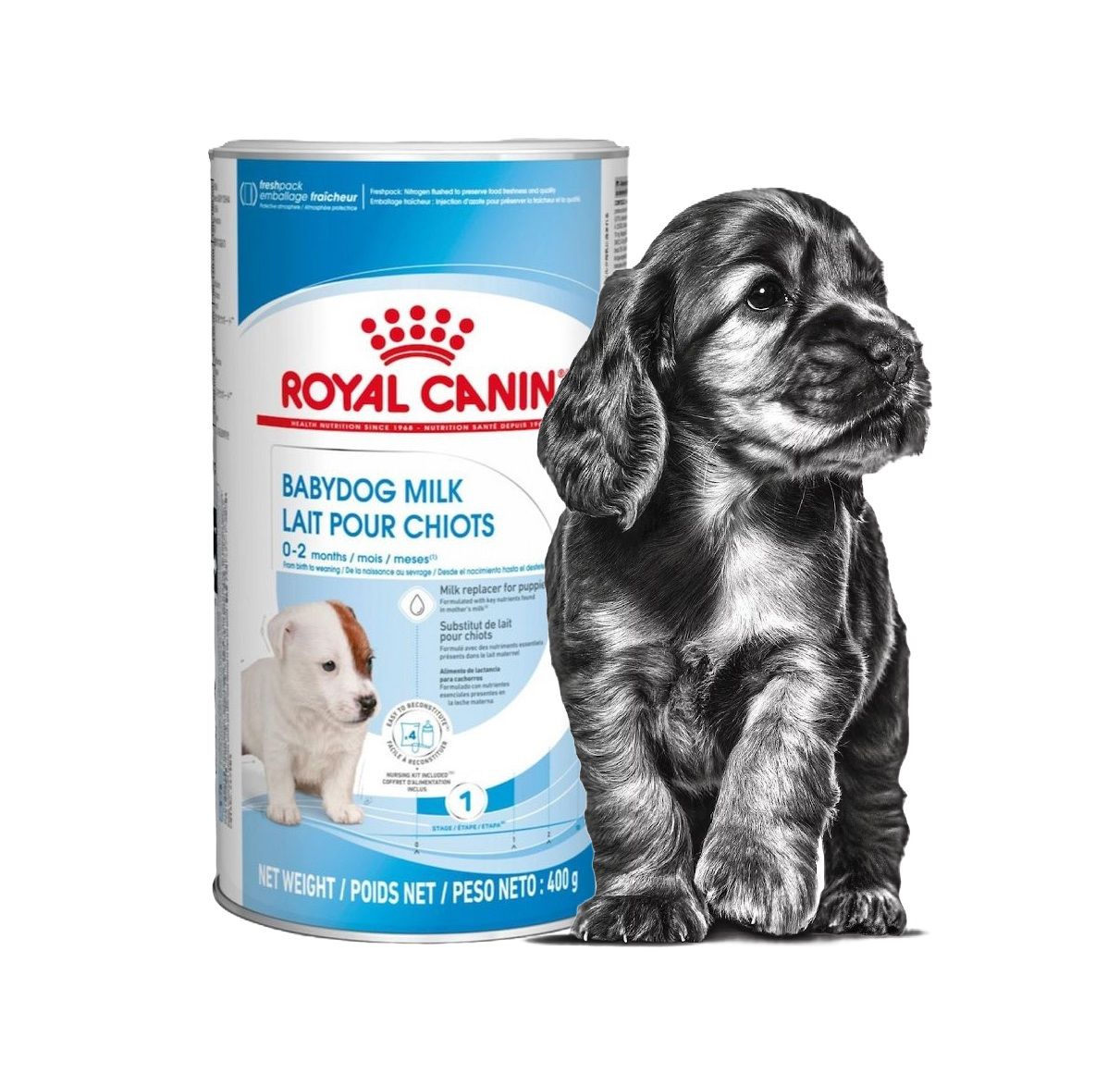 Заменитель молока Royal Canin Babydog Milk для собак, 400 г - купить с  доставкой по выгодным ценам в интернет-магазине OZON (1346642212)