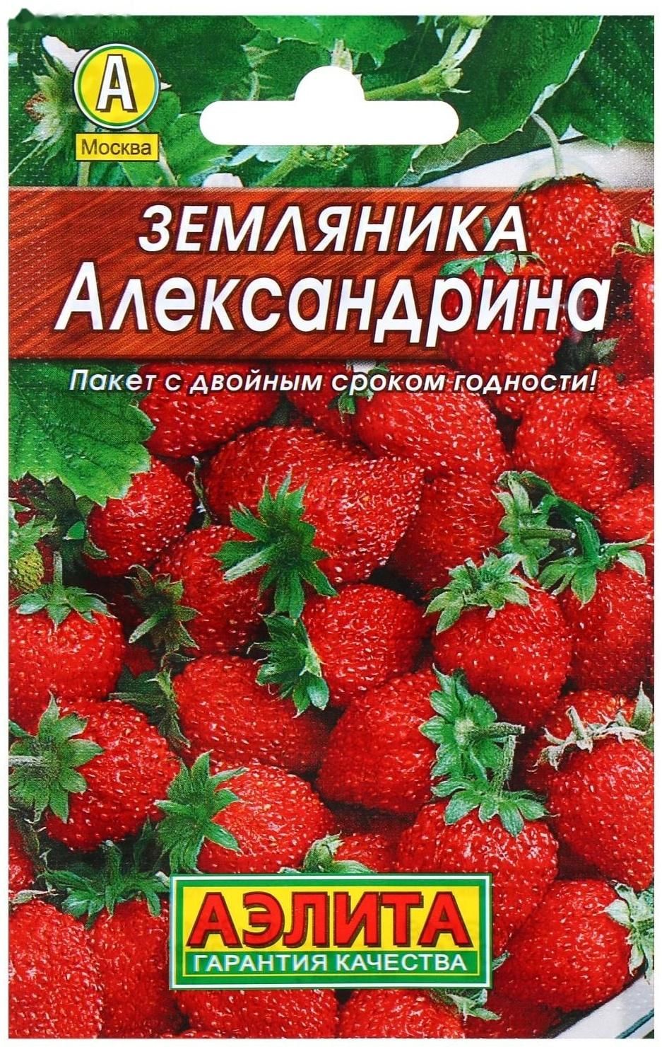 Семена Клубники Купить В Самаре