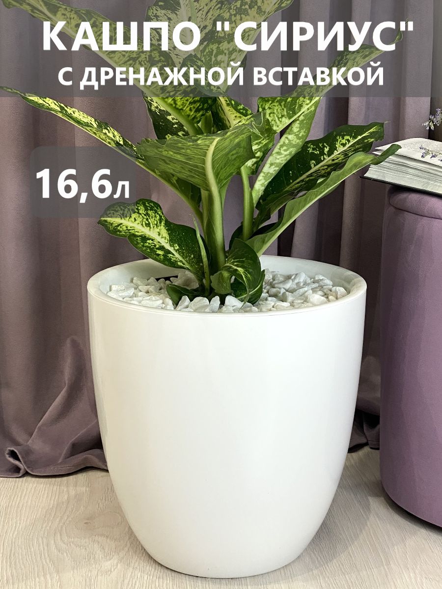Горшок для дома...