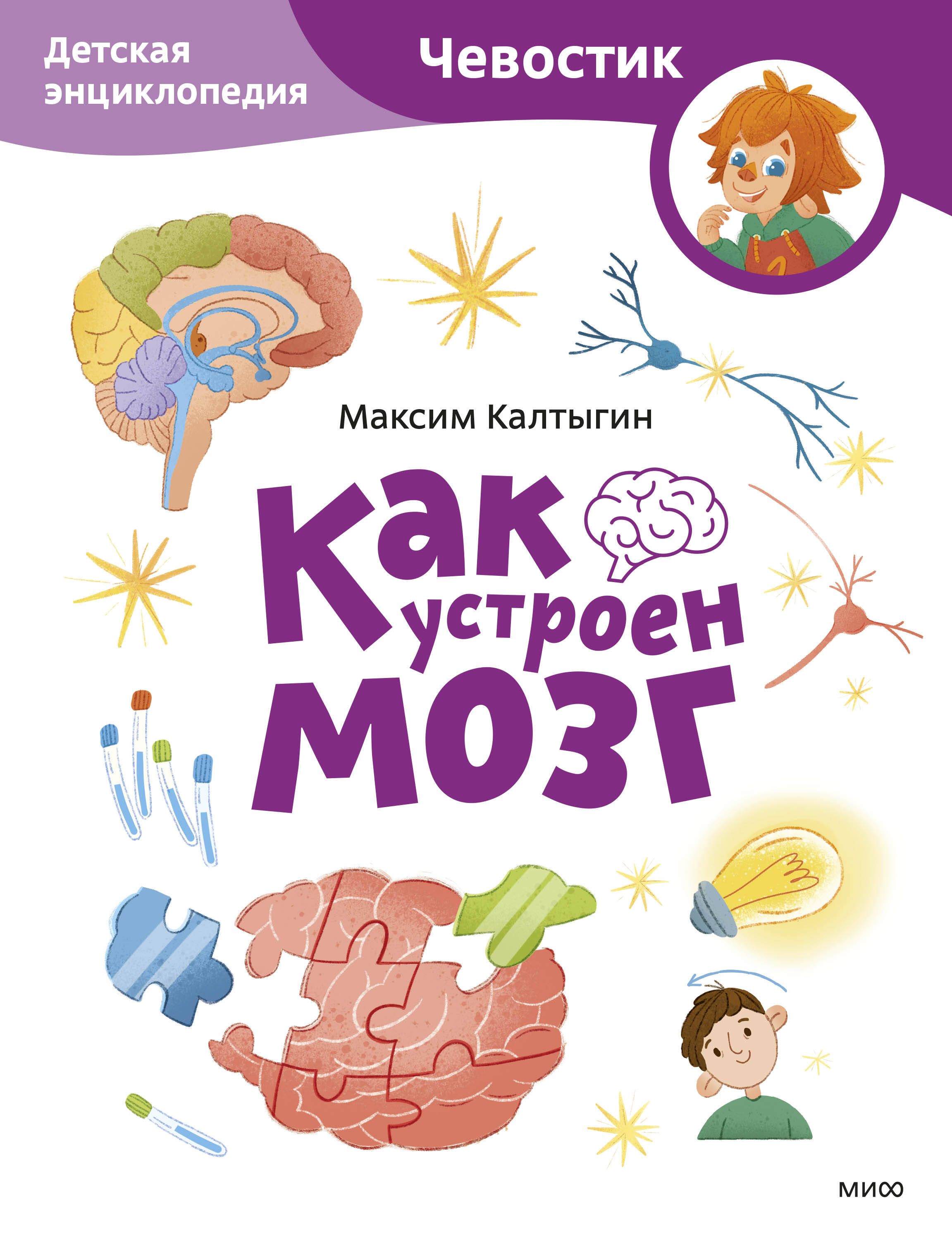 Как устроен мозг. Детская энциклопедия (Чевостик) (Paperback)