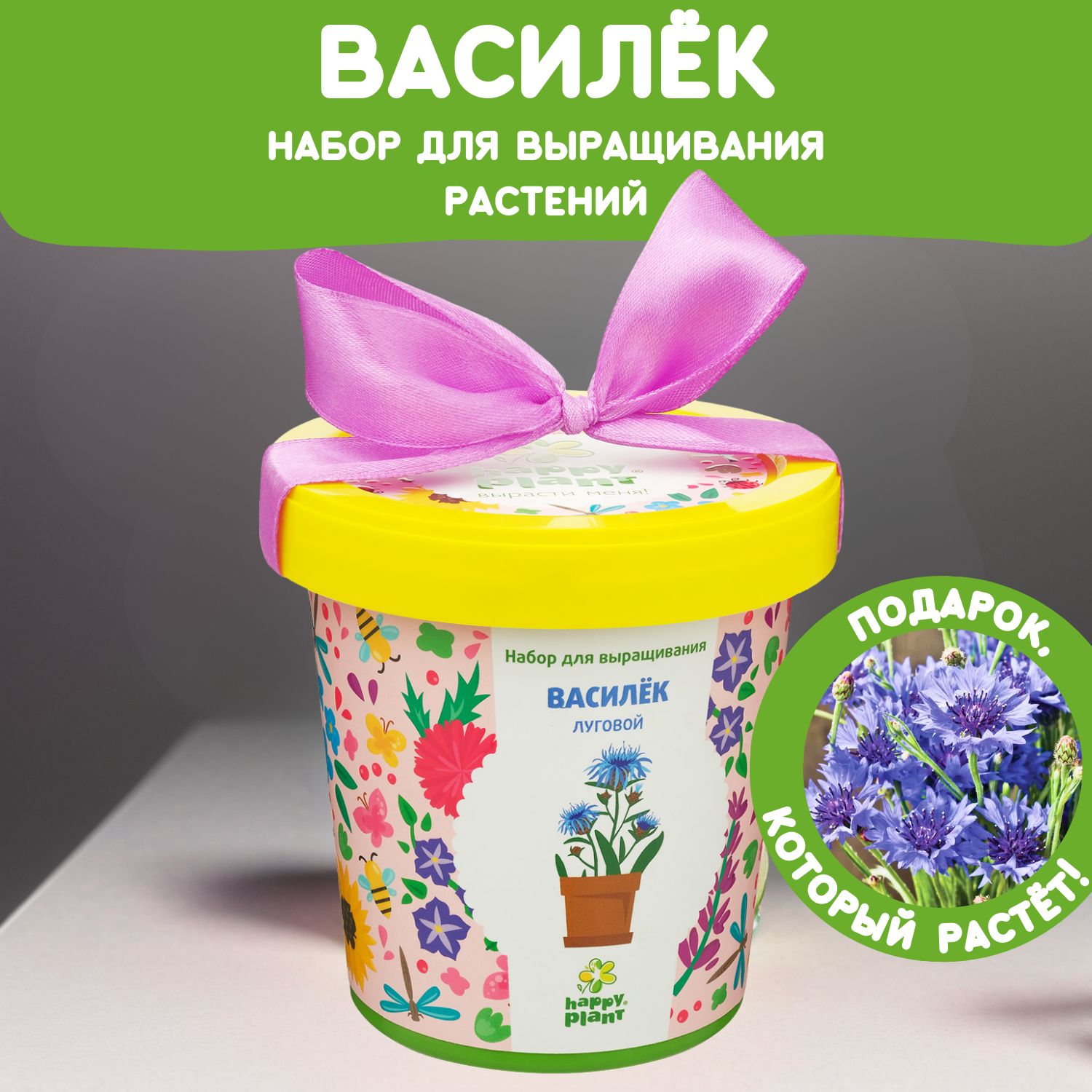 Набор для выращивания растений Happy Plant Василек луговой, семена комнатных цветов в подарочном горшке