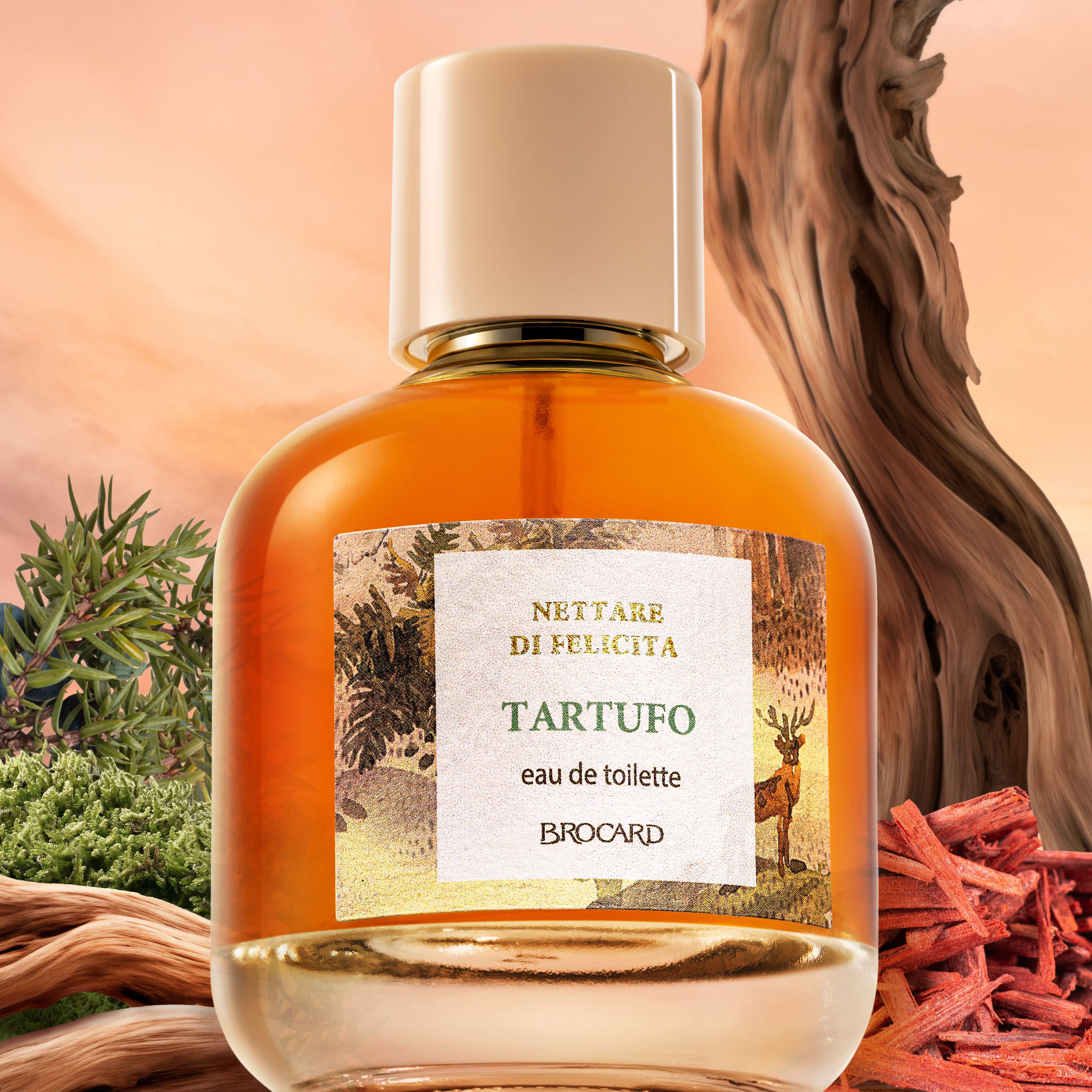 Nettare di felicita. Духи женские Tartufo Тартюфо купить на OZON по низкой цене (1699581882)