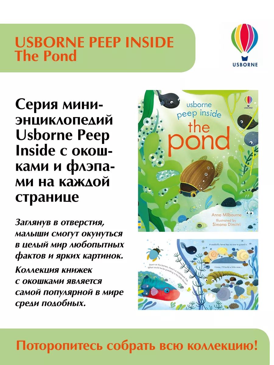 Usborne Peep Inside the Pond