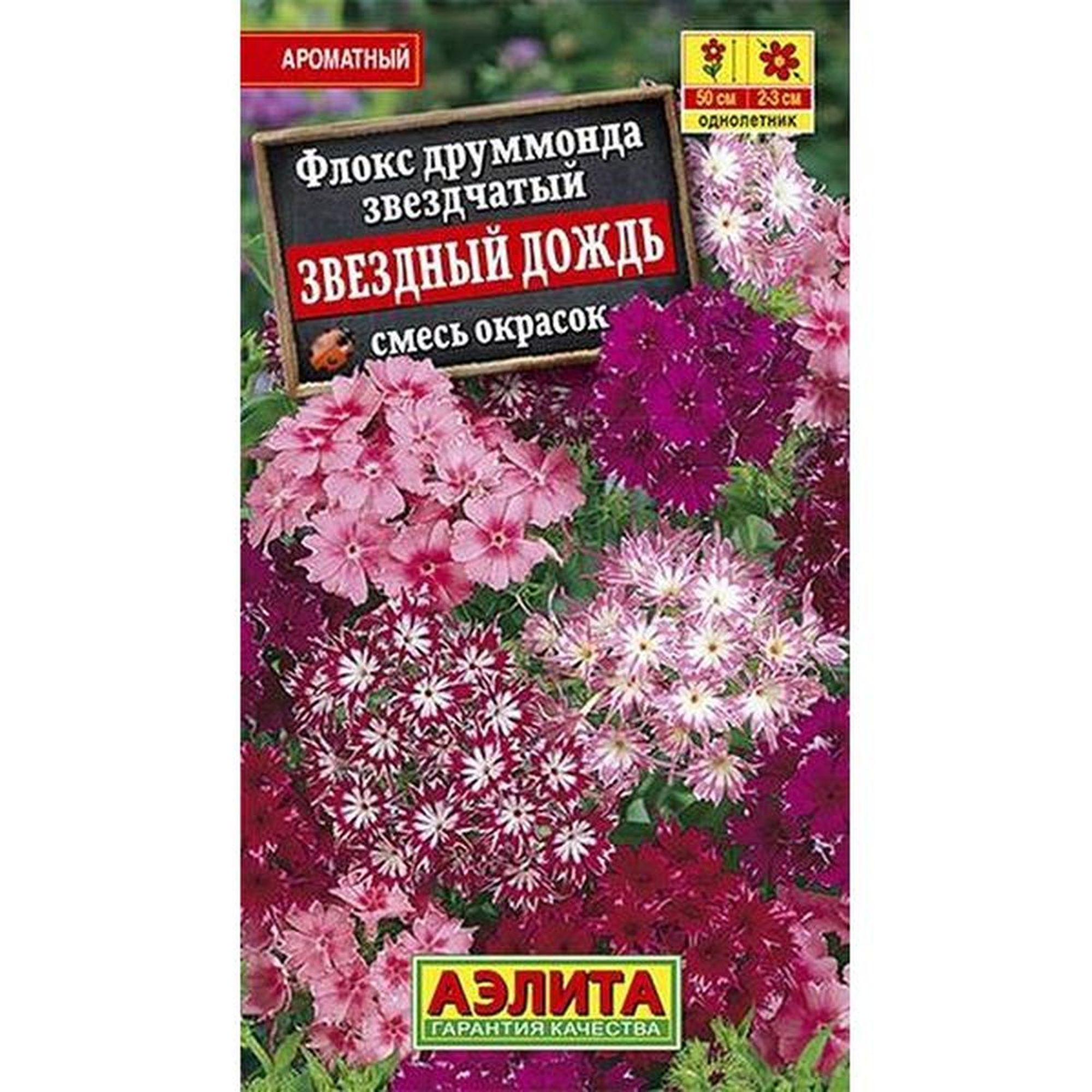 Флоксы Однолетние Купить Семена