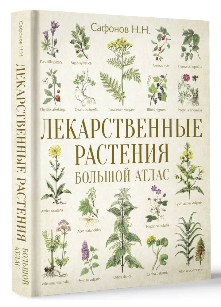 Сафонов Н . Н . " Лекарственные растения " Большой атлас | Сафонов Николай Николаевич