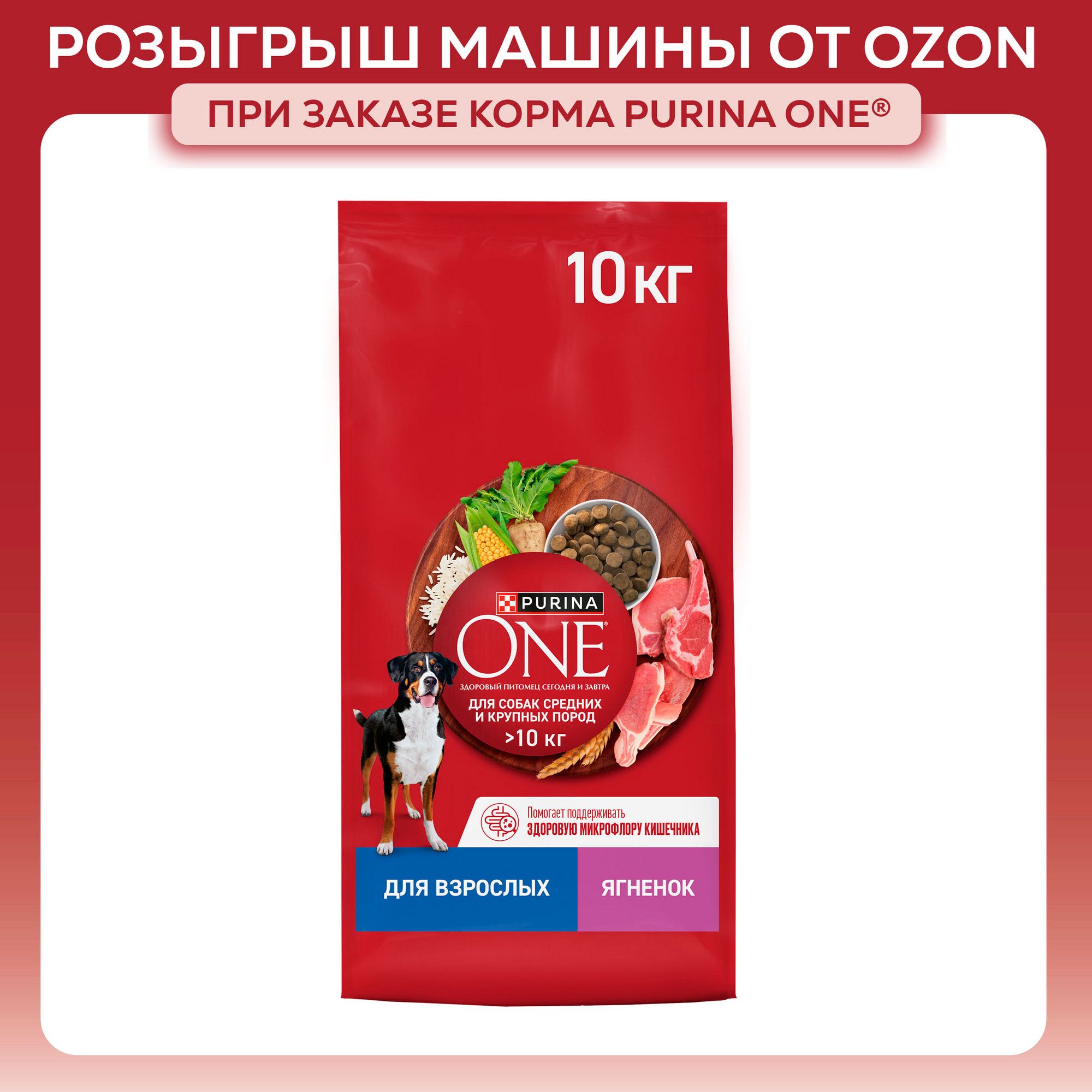 Сухой корм для собак Purina ONE для взрослых собак средних и крупных пород, с ягненком и рисом, 10 кг