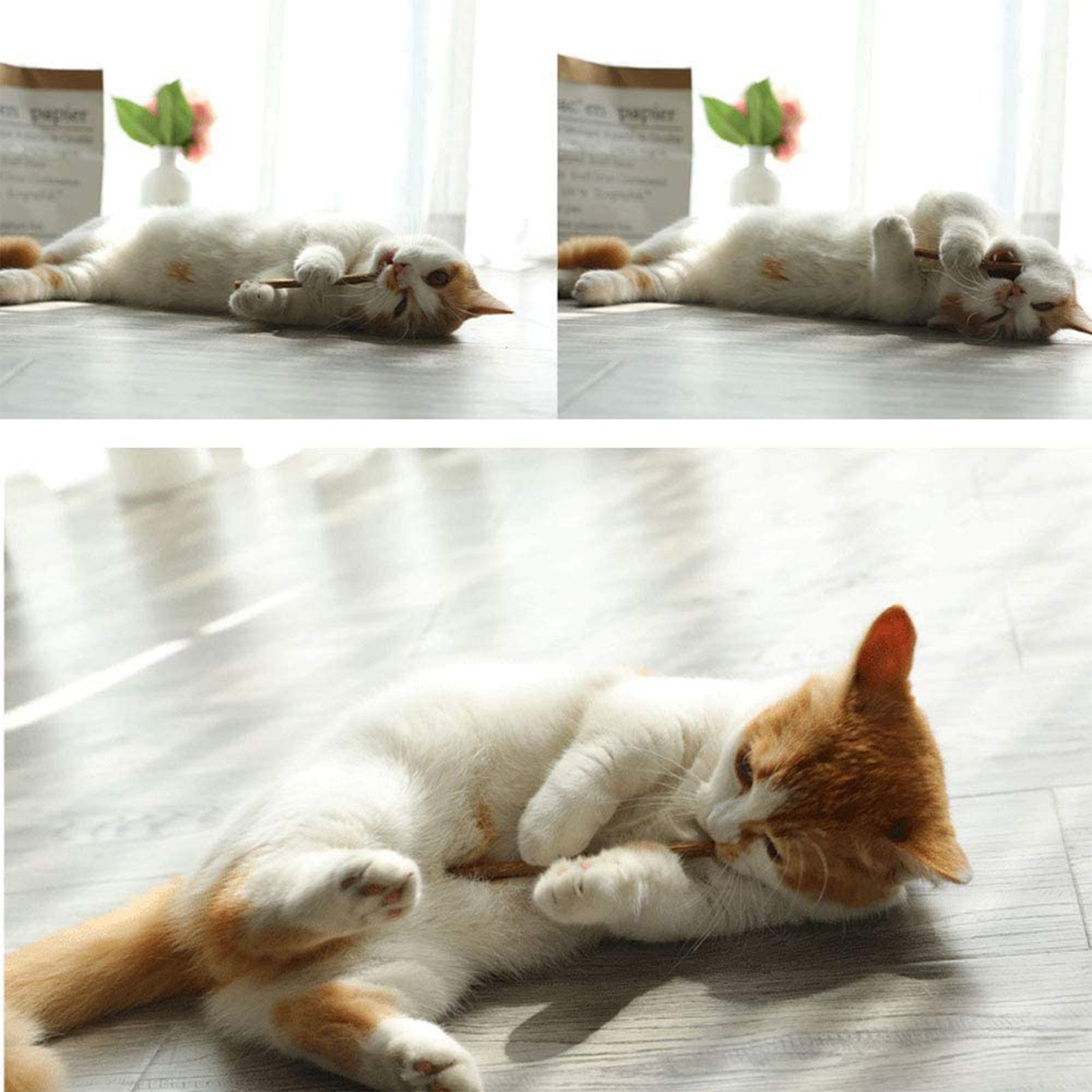 30шт игрушки для жевания котят деревянная палочка