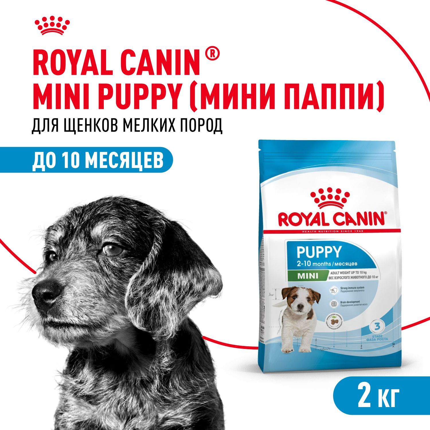 СухойкормдлященковRoyalCaninMiniPuppyдлямелкихпород,2кг