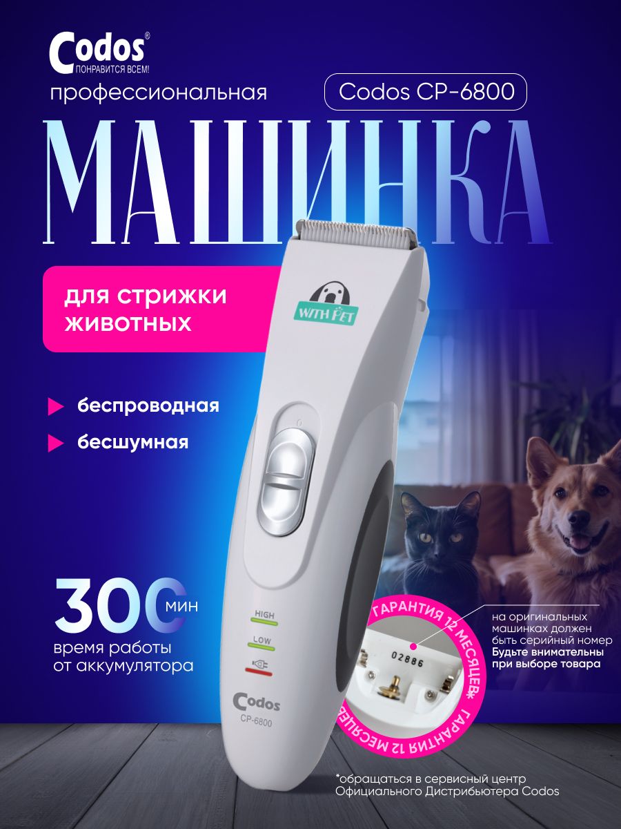 цп попк 