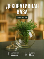 Ваза для цветов стеклянная / 5 л, Шаровая с крышкой 20х23 Evis / ваза для сухоцветов прозрачная