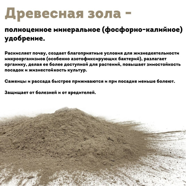 Зола древесная для растений - купить с доставкой по выгодным ценам в ...