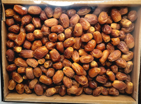 Отборные Иранские финики Захеди, 5 кг. - купить с доставкой по выгодным ...