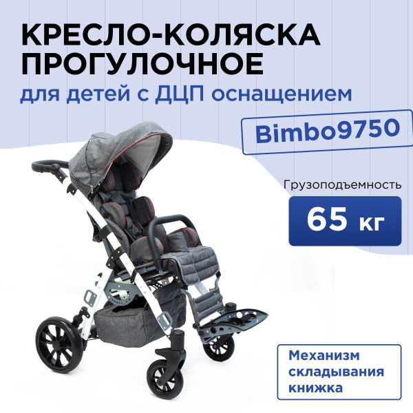 Кресло-коляска прогулочная для детей-инвалидов и детей с заболеванием ...