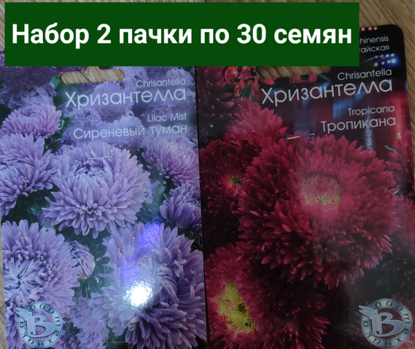 Биотехника Хризантелла - купить по выгодным ценам в интернет-магазине ...