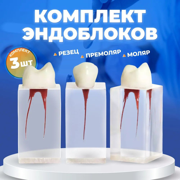 Комплект эндоблоков тренировочный стоматологический / Набор включает ...