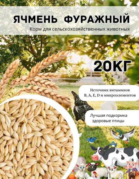 Ячмень фуражный 20 кг - купить с доставкой по выгодным ценам в интернет ...
