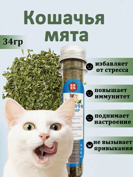 кошачья мята - купить с доставкой по выгодным ценам в интернет-магазине ...