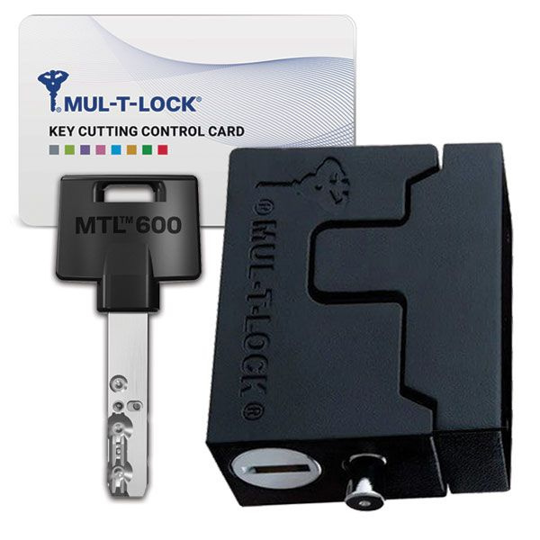 Навесной замок MUL-T-LOCK Special Hasp Lock MTL600 - купить по низкой ...