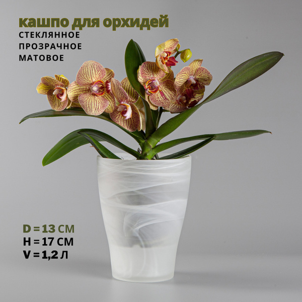 Кашпо для цветов / орхидей стеклянное матовое прозрачное d 13 см v 1,2 ...