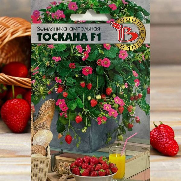 Земляника и клубника Биотехника земляника ампельная Тоскана F1 - купить ...