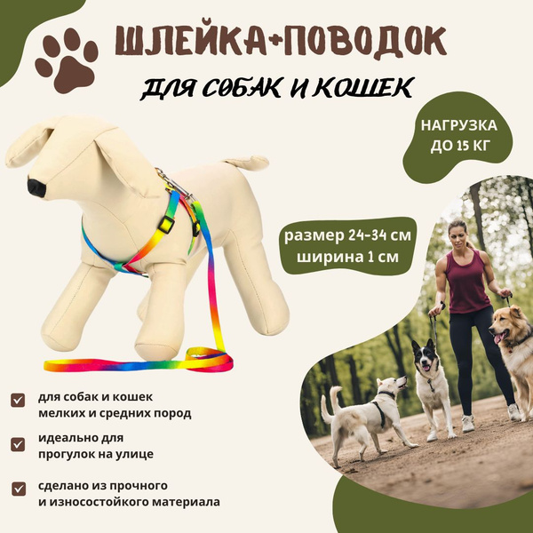 Комплект шлейка и поводок для собак и кошек маленьких и средних пород ...