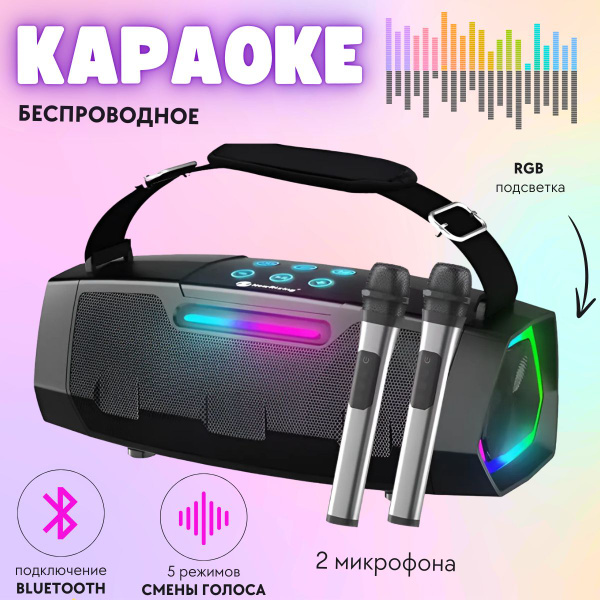 Беспроводная караоке система для дома с двумя беспроводными микрофонами ...