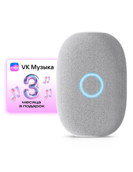 Умная колонка VK Капсула/ - купить по доступным ценам в интернет ...