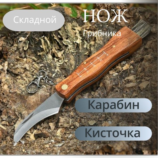 Нож складной, нож грибника, нож с карабином и щеточкой для грибов длина ...