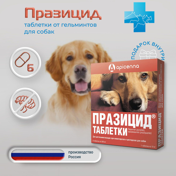 Празицид таблетки для собак, 6 таблеток - купить с доставкой по ...