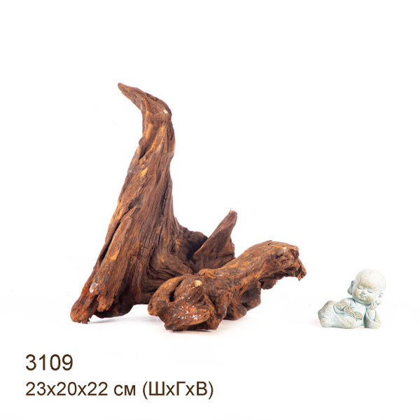 Коряга для аквариума натуральная. Мангровая - L. Декорация MASHA BLOOM ...