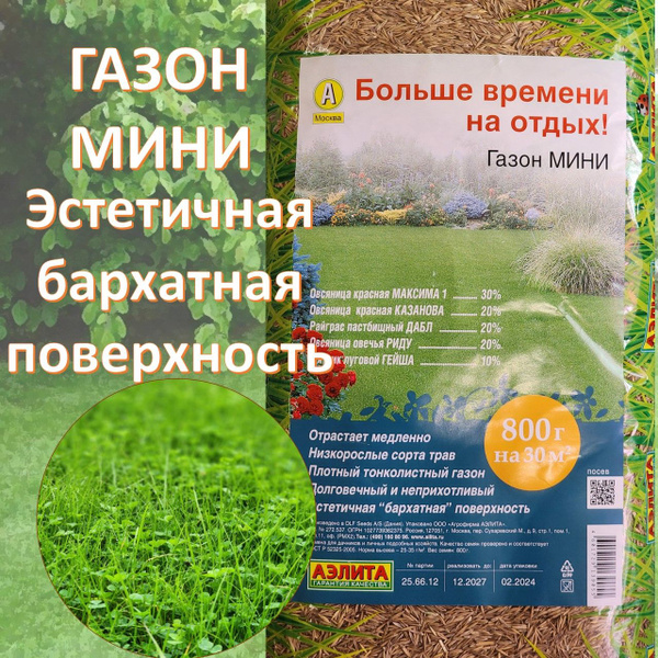 Газонные травы Аэлита Клевер белый ползучий для газона - купить по ...